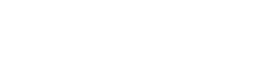 Optik Seidel