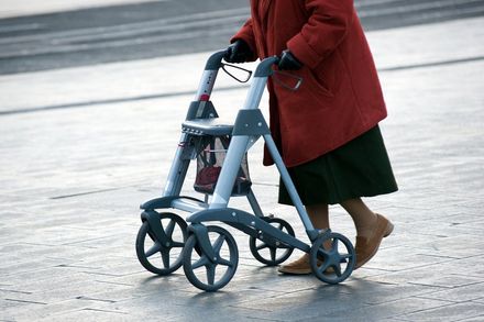 Accompagnamento di persone disabili