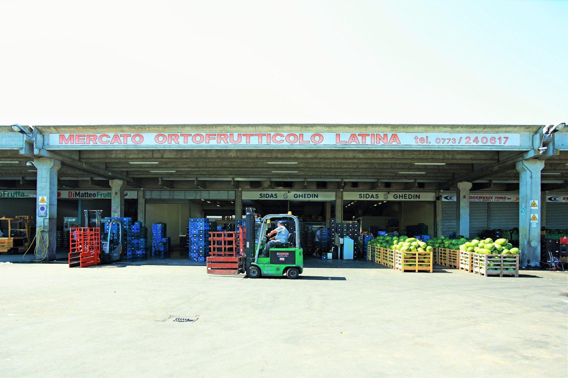 azienda ortofrutticola