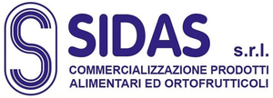 SIDAS srl - LOGO SIDAS srl - LOGO