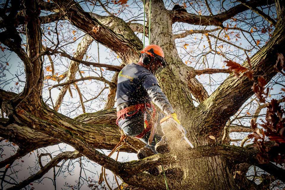 Limb Removal in Pittsburgh, PS