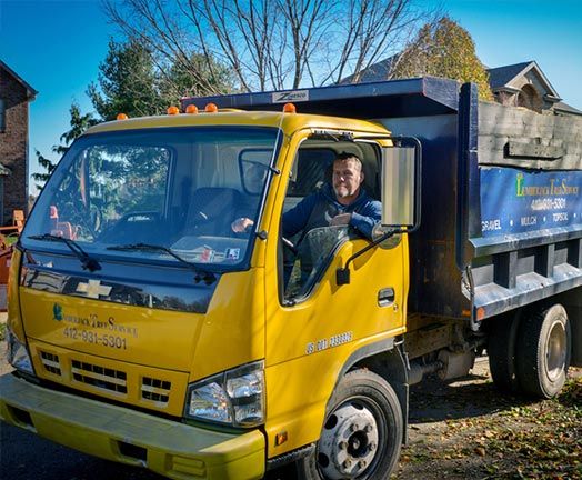 Tree Removal and Haul Off in Pittsburgh, PA