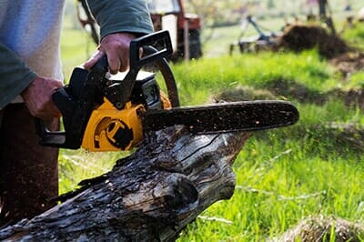 Trimming the tree - Tree service in Pittsburgh, PA Trimming the tree - Tree service in Pittsburgh, PA