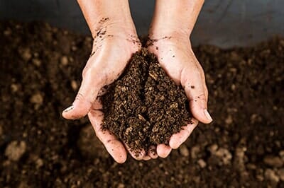 Soil - Tree service in Pittsburgh, PA Soil - Tree service in Pittsburgh, PA