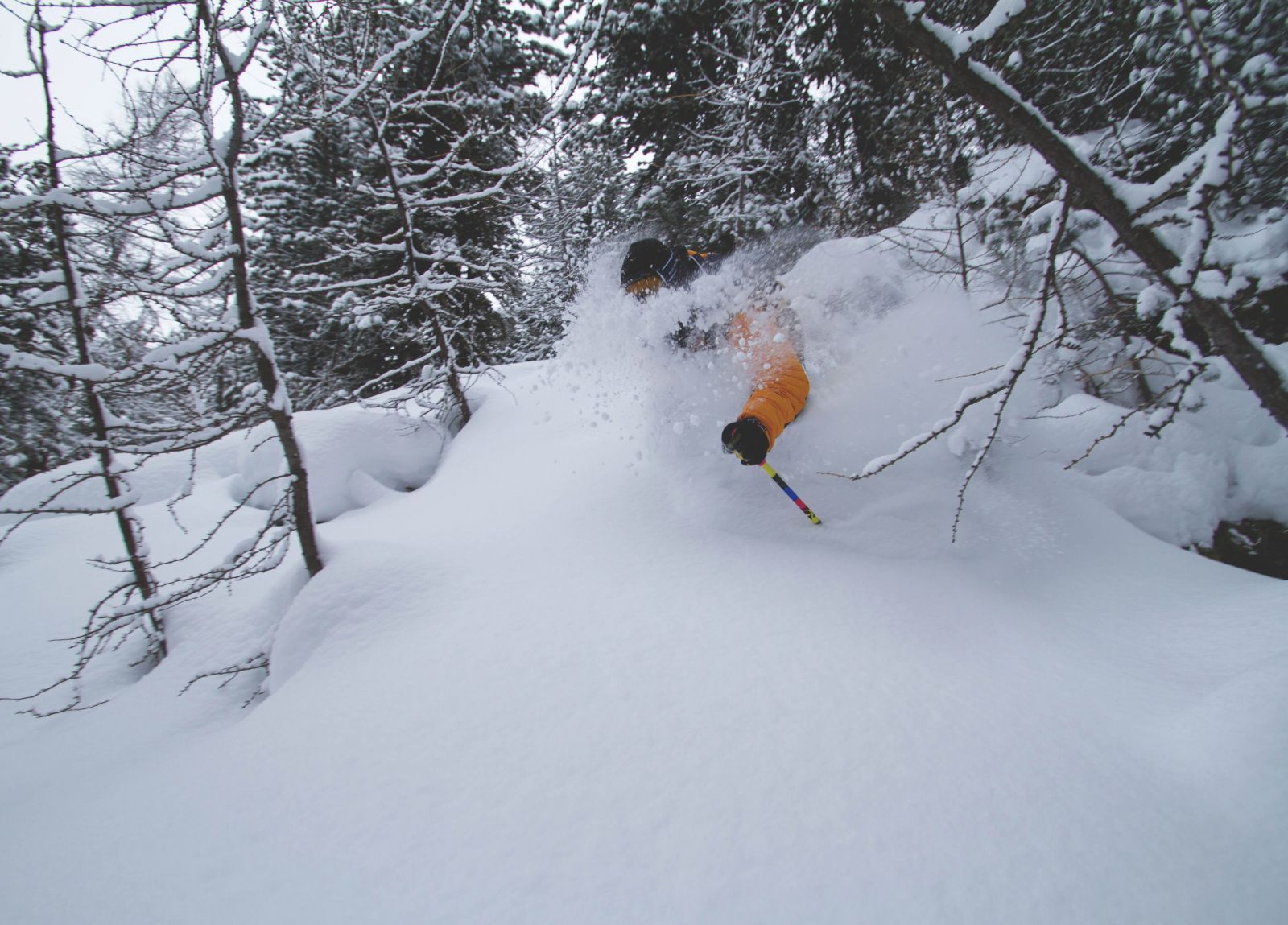 Winter Activities