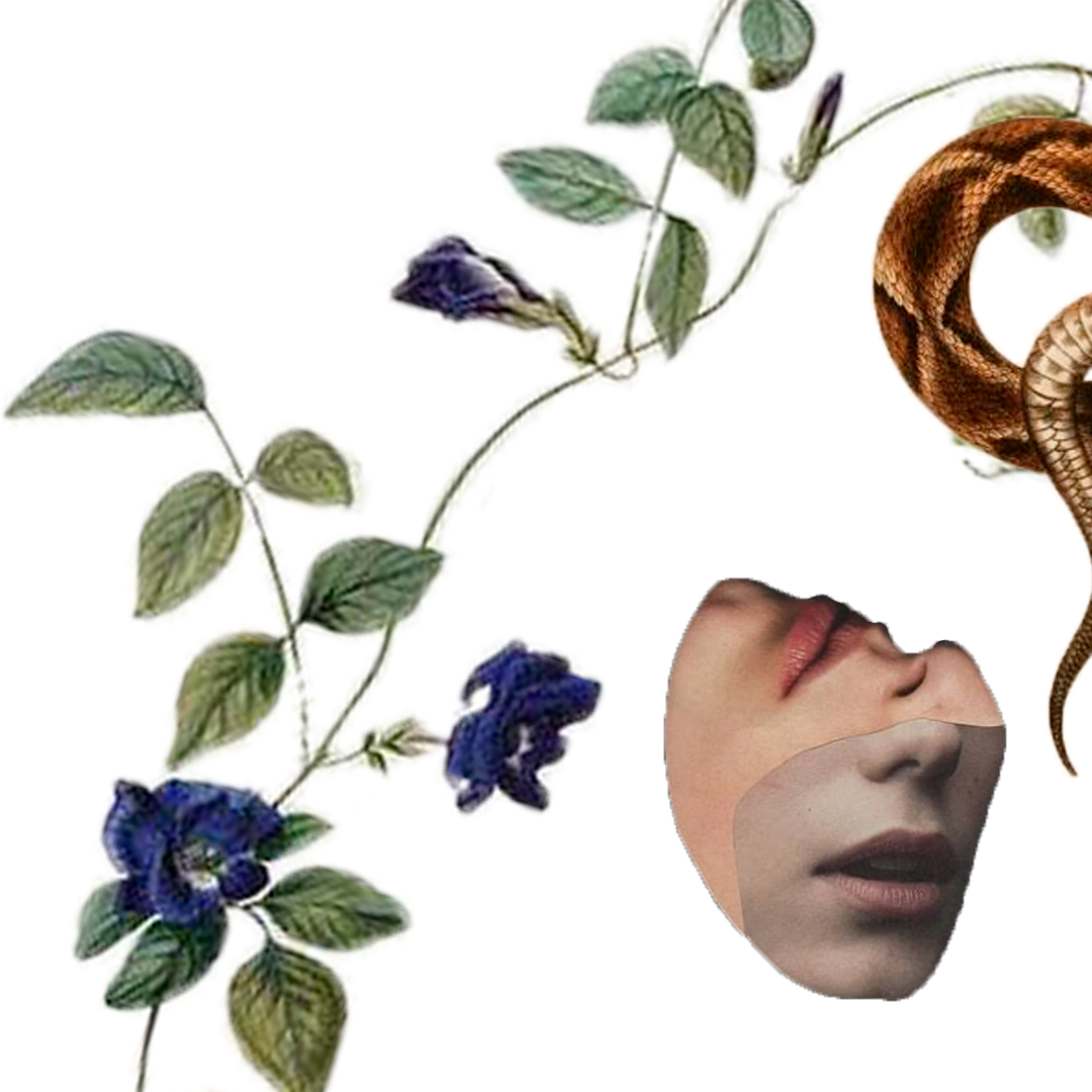 Vines with blue flowers and a snake coil near a face with a bruised eye and lips.