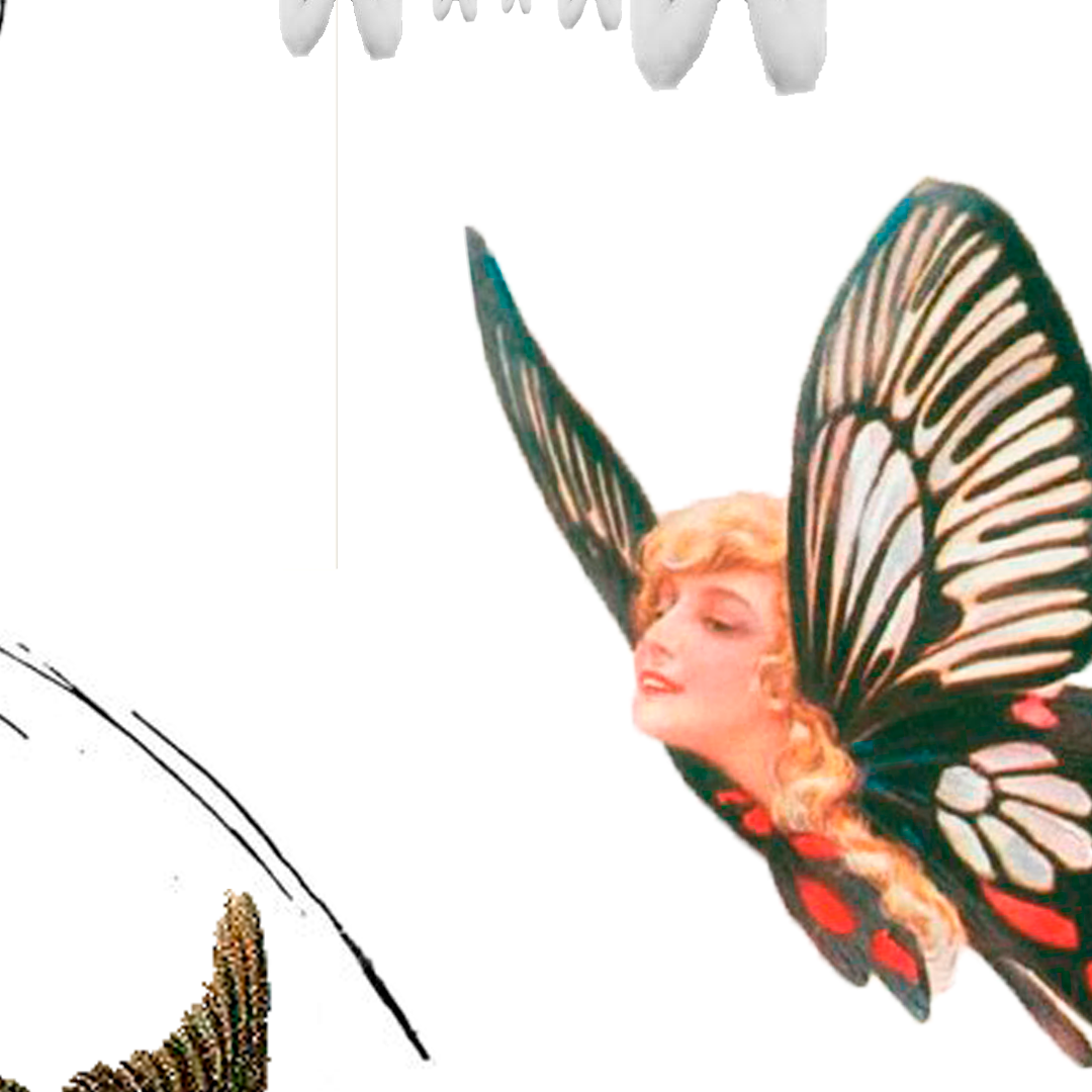 Woman with blonde hair and butterfly wings, flying.