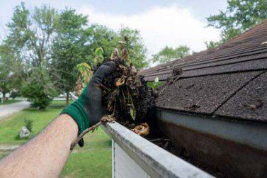 Gutter Maintenance in Lake Dallas, TX