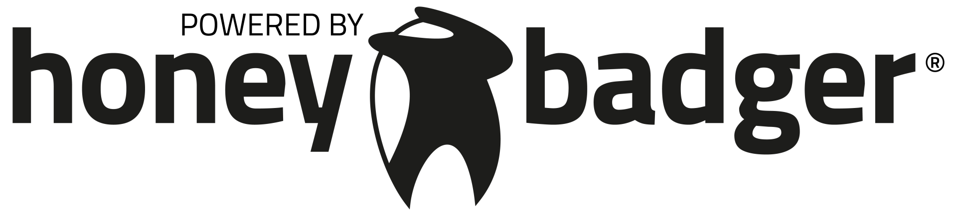 HoneyBadger Digital Solutions Logo