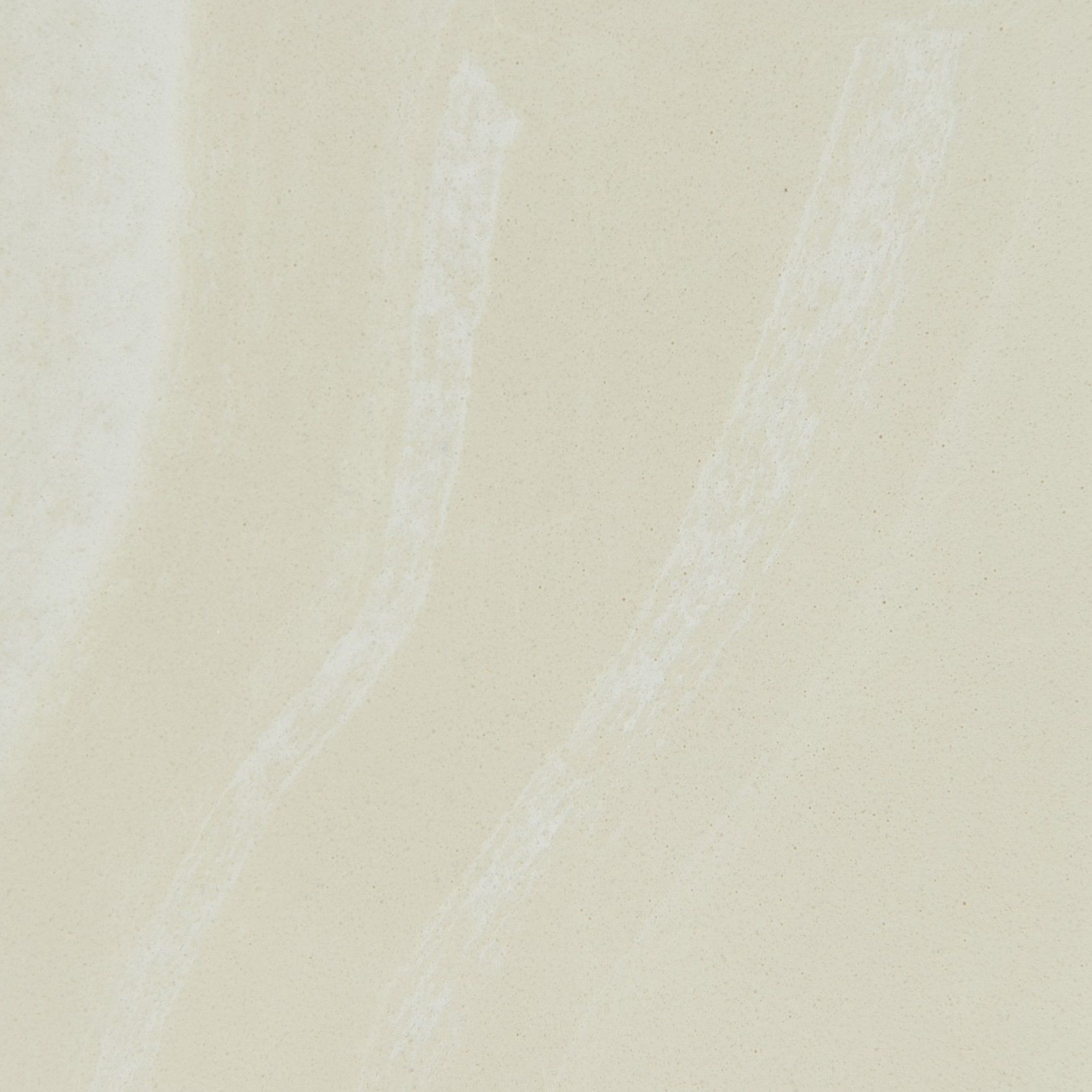Almond #102 Almond #102