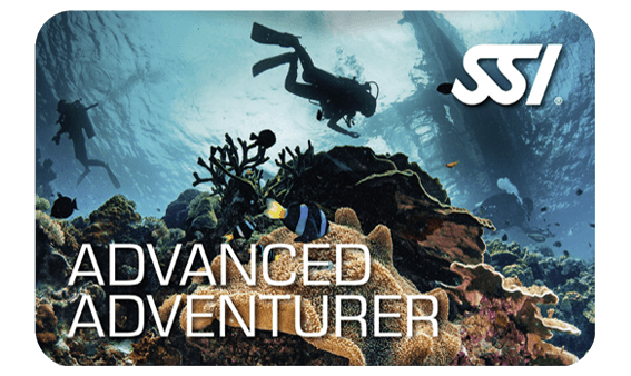 Advanced Adventurer