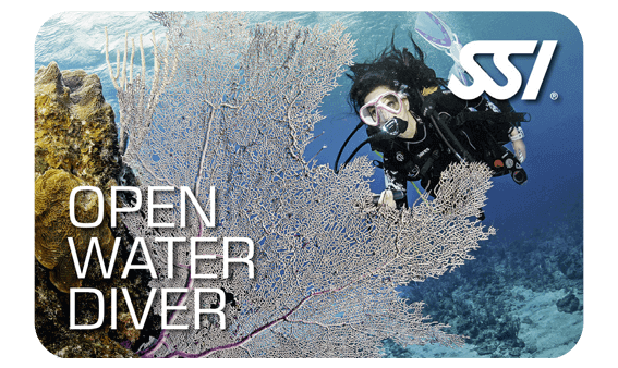 Open Water Diver