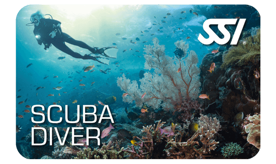 Scuba Diver