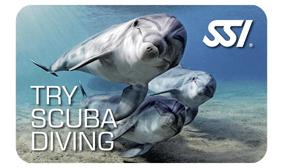 Try Scuba Diving