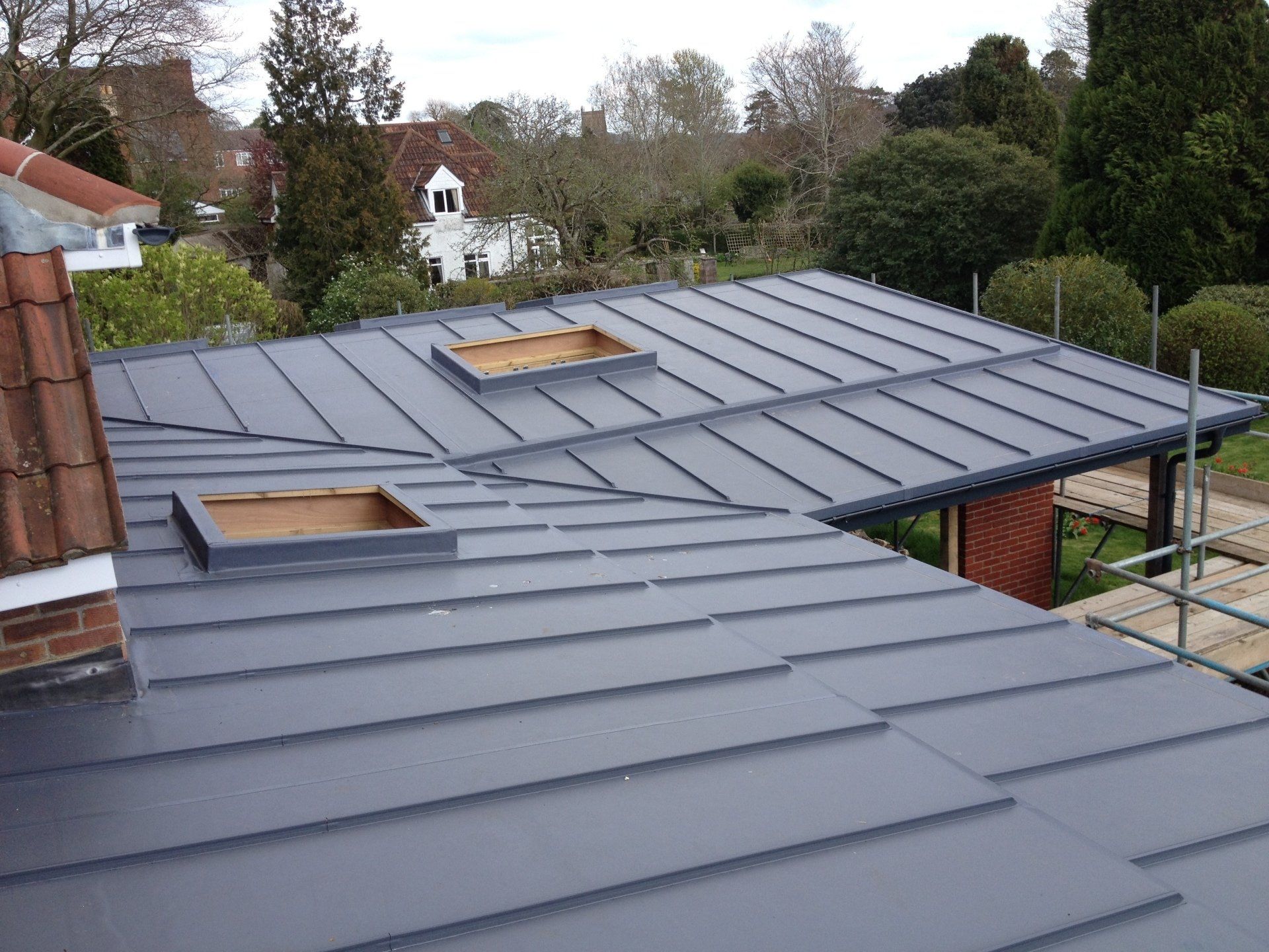 Domestic extension