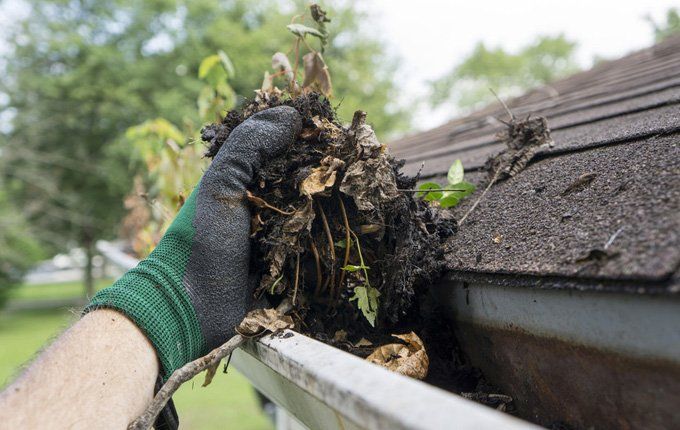 Gutter cleaning