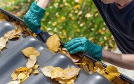 Gutter cleaning