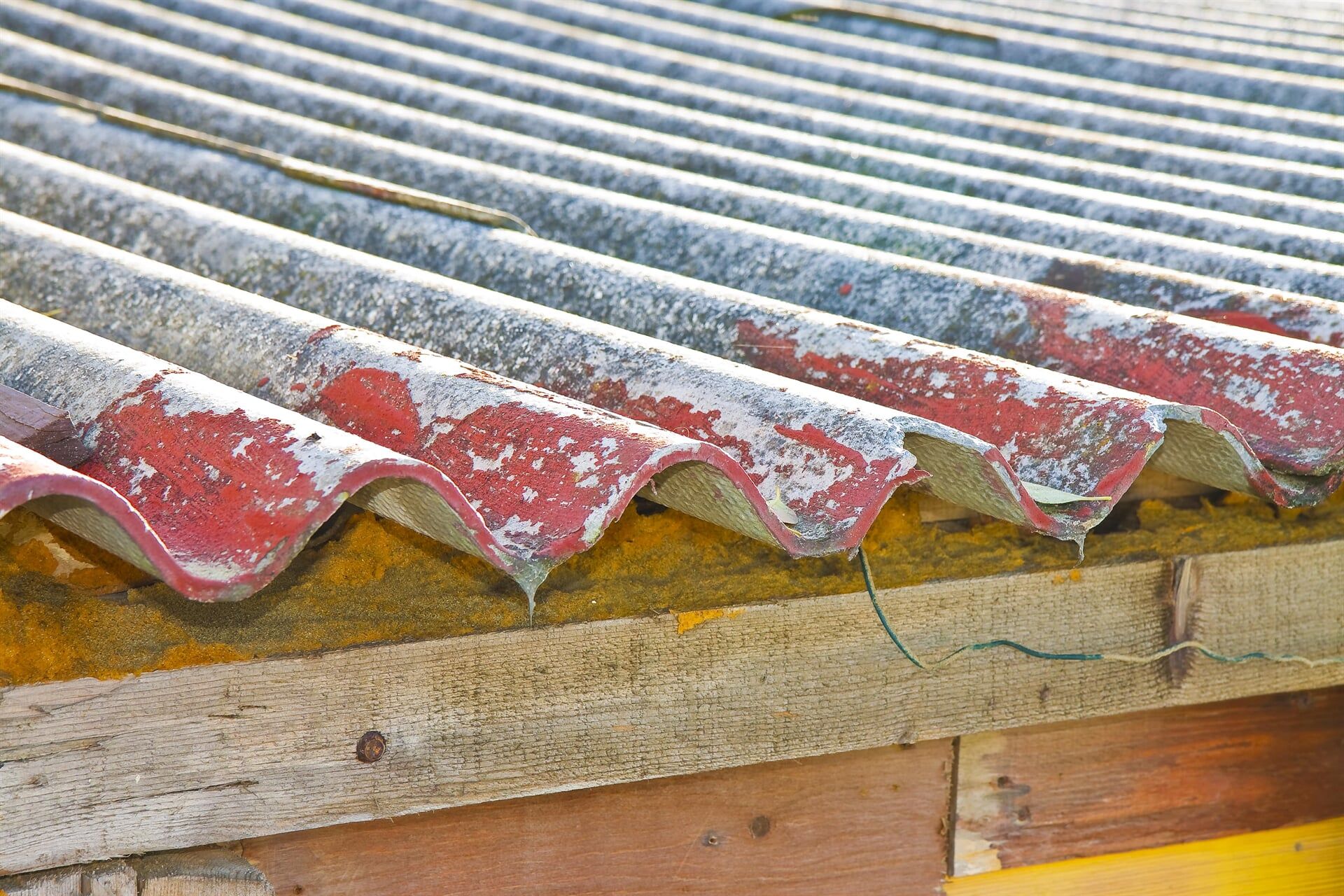 Asbestos Management — Asbestos Removal & Demolition Specialists in Wide Bay & Sunshine Coast