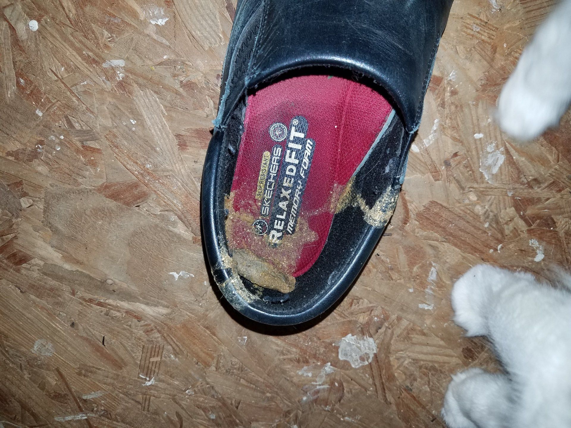 home inspection nashville tn