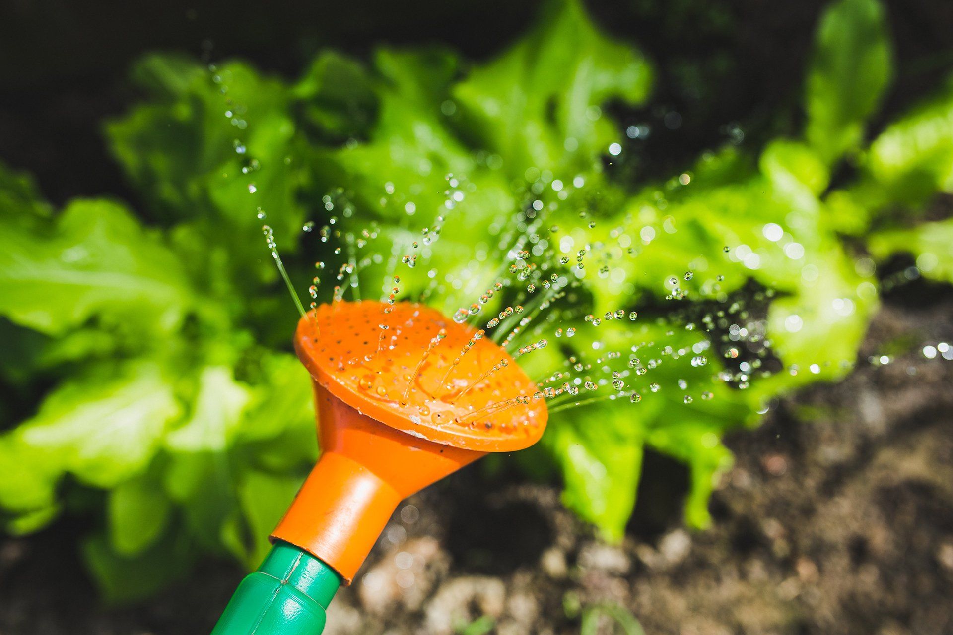 Water Sprinkler