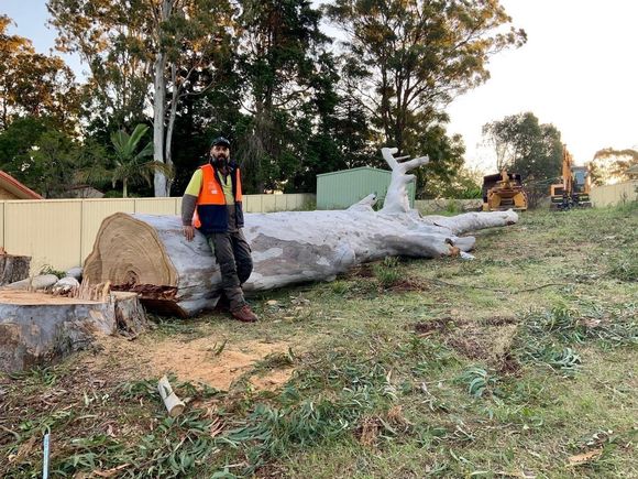 man sitting on a big log