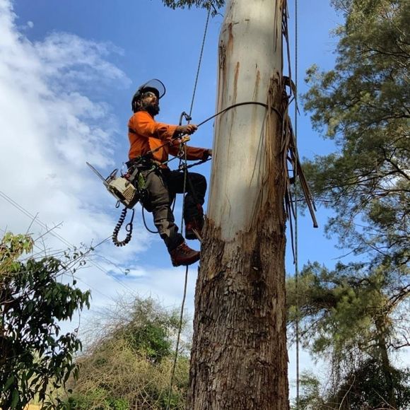 man climbing up the post