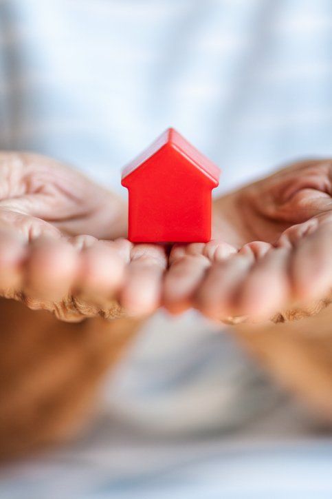 Elderly woman and her property