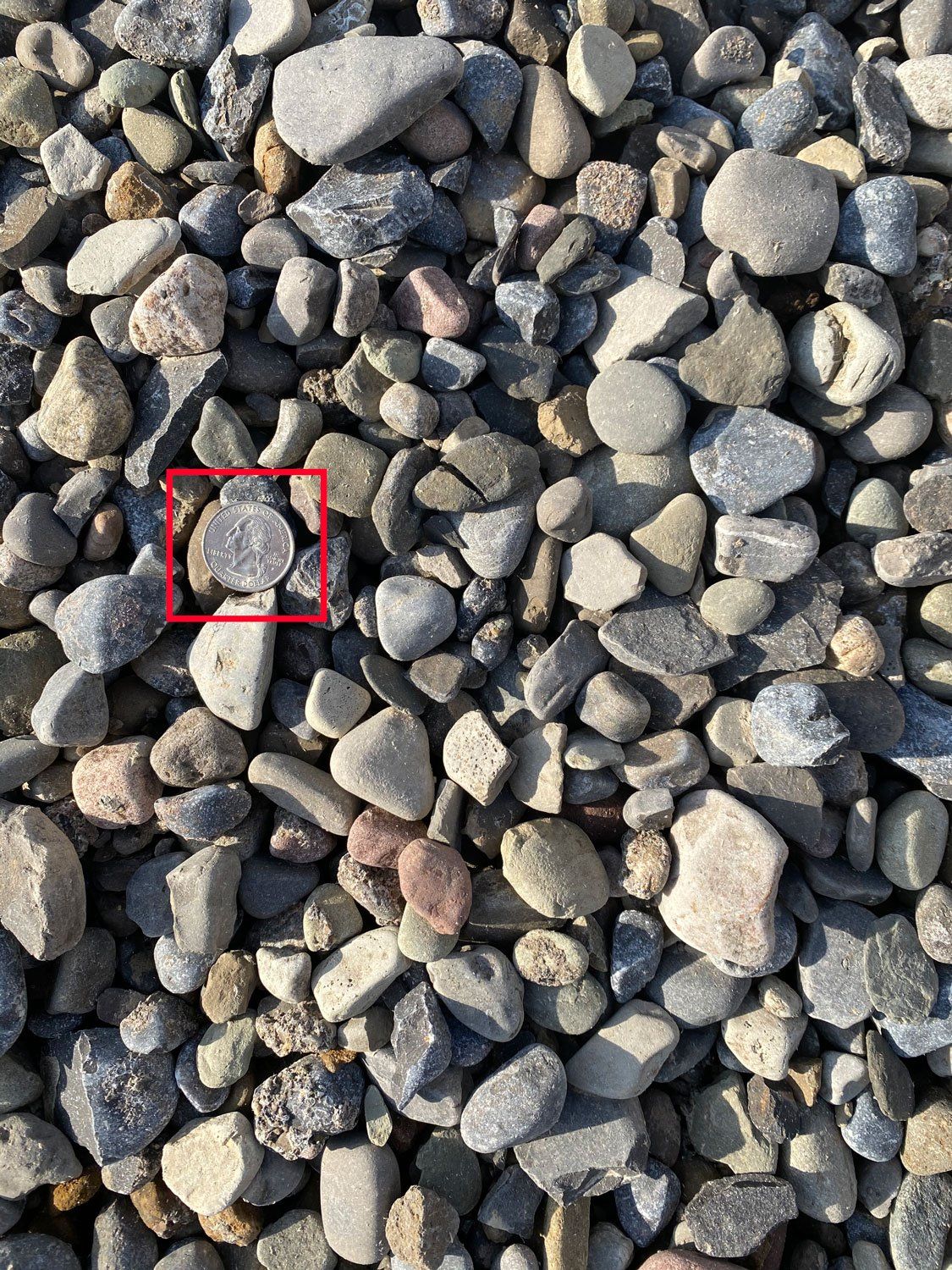 Gravel pile, mostly gray and beige stones with some red-brown ones. A round stone is highlighted in a red box.