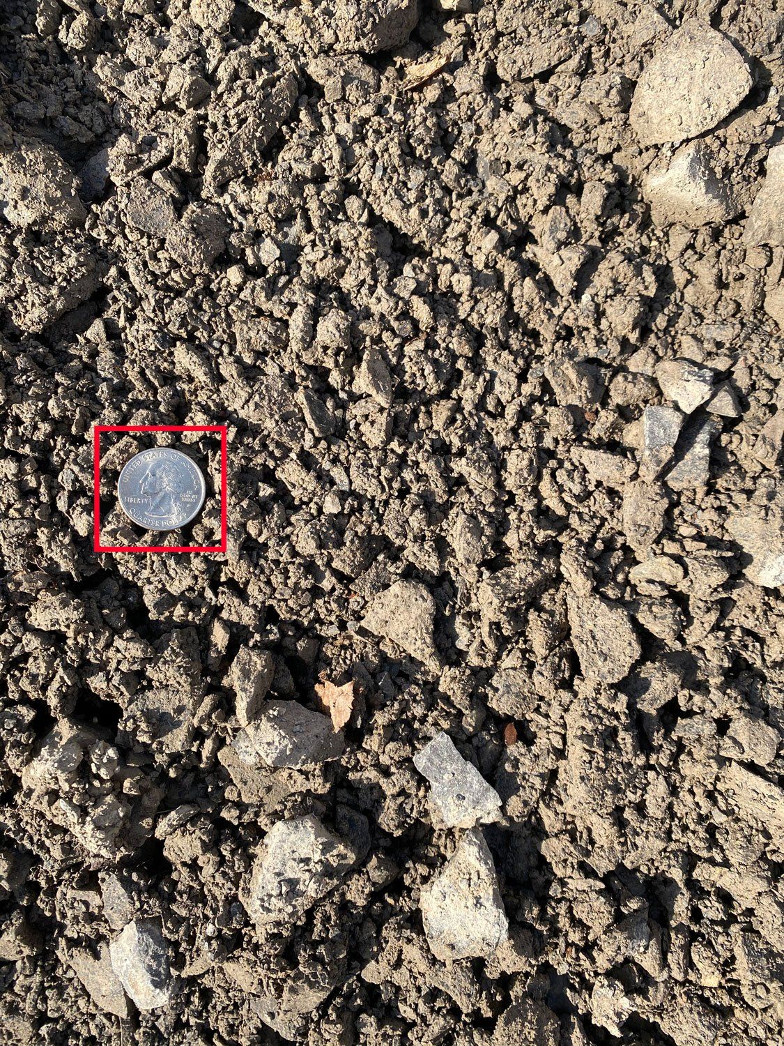 Soil with a coin highlighted in red.