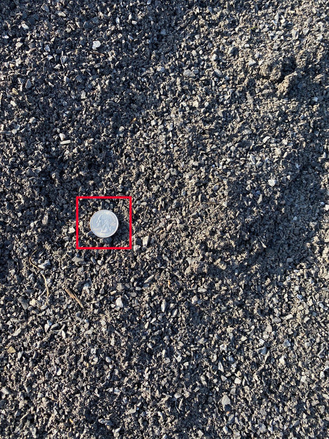 White, circular cap on dark, gravel-like surface.