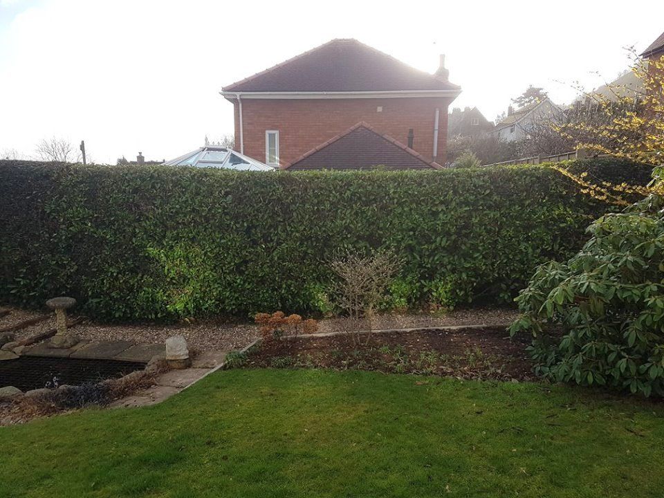 Before garden fencing