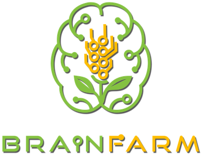 Braininfo Home Brainfarm Logo