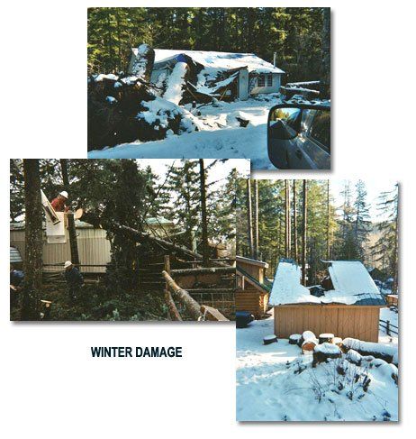 Fallen Tree Damage - Land Clearing & Leveling Contractors in Hood River, OR