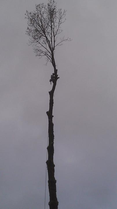 Top Still Attached - Land Clearing & Leveling Contractors in Hood River, OR