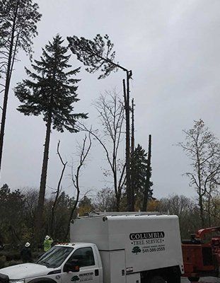 Platform Lift - Land Clearing & Leveling Contractors in Hood River, OR Platform Lift - Land Clearing & Leveling Contractors in Hood River, OR