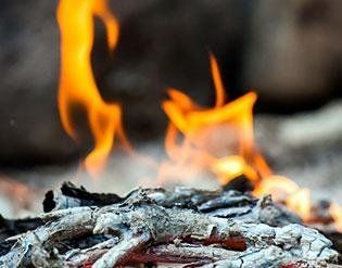 carbone per pizzerie