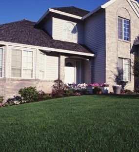 lawn maintenance