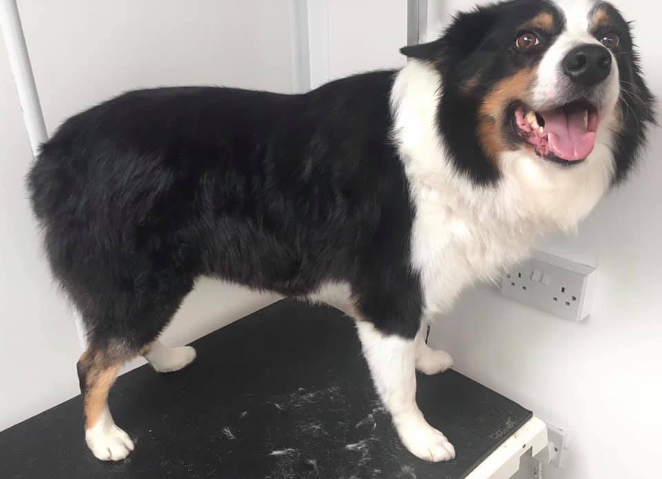Bath, cut, blow and gorgeous
