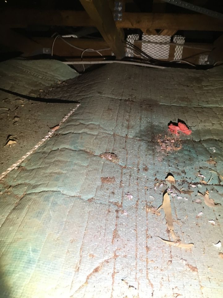 Possible termite infested material