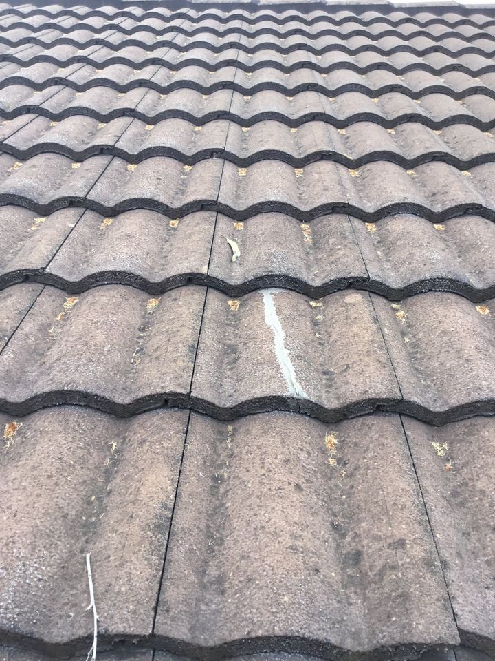 Roof inspection