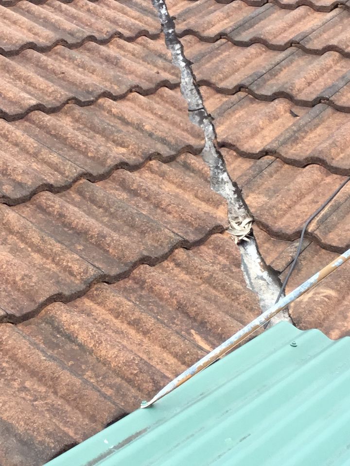 Roof inspection