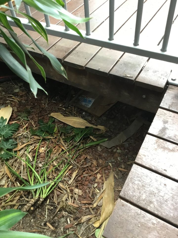 Ground inspections