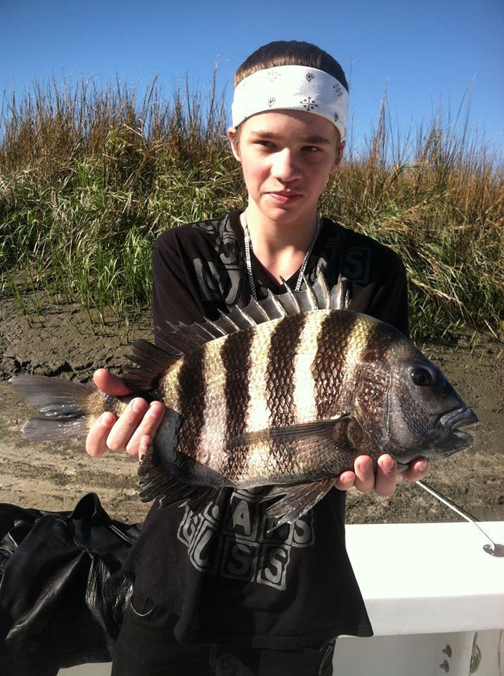 Sheep head fishing,fishing sheephead,st simons fishing sheep head,