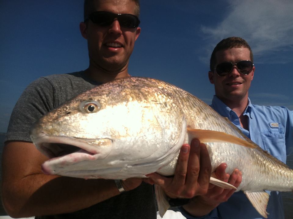 tarpon fishing in georgia