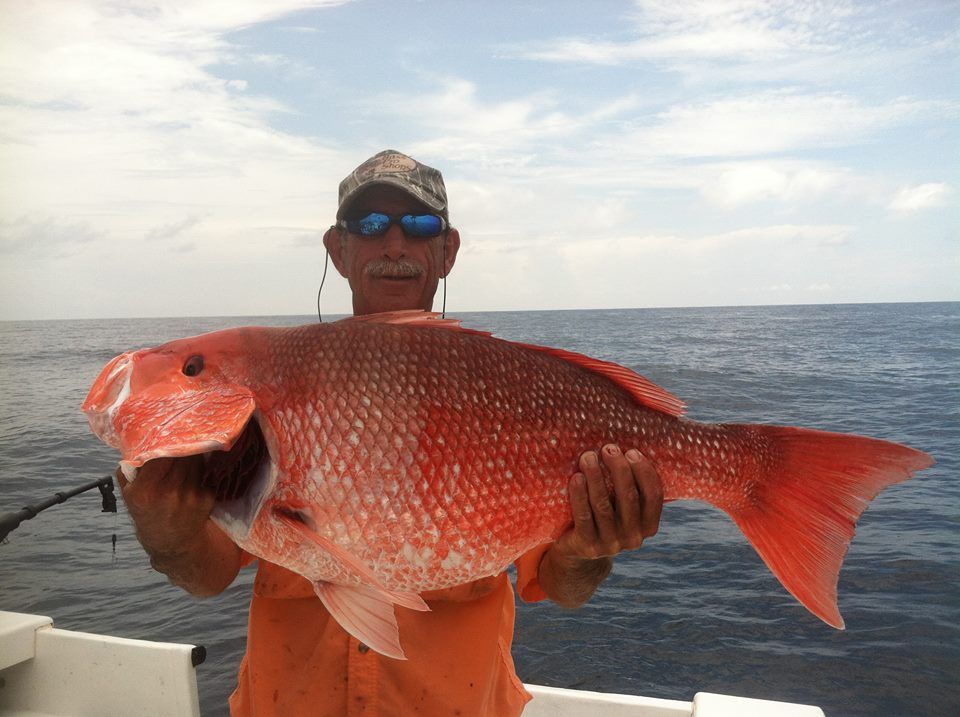 Red Snapper Southeast Georgia Fishing