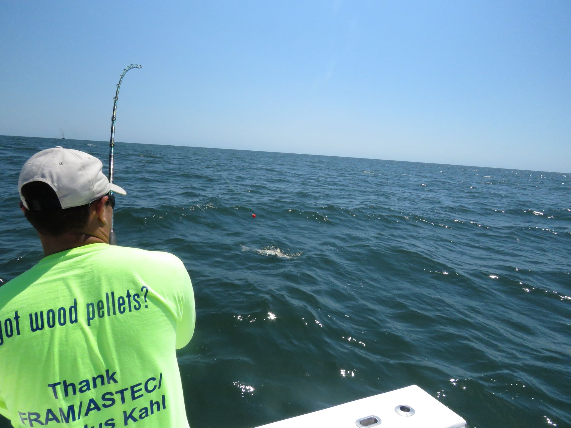 best ga fishing