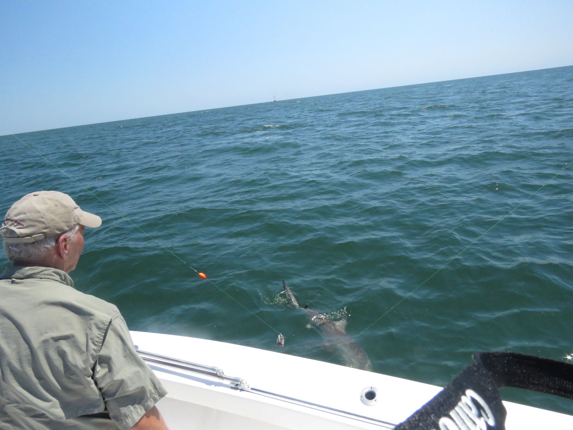 best saltwater fishing in ga 