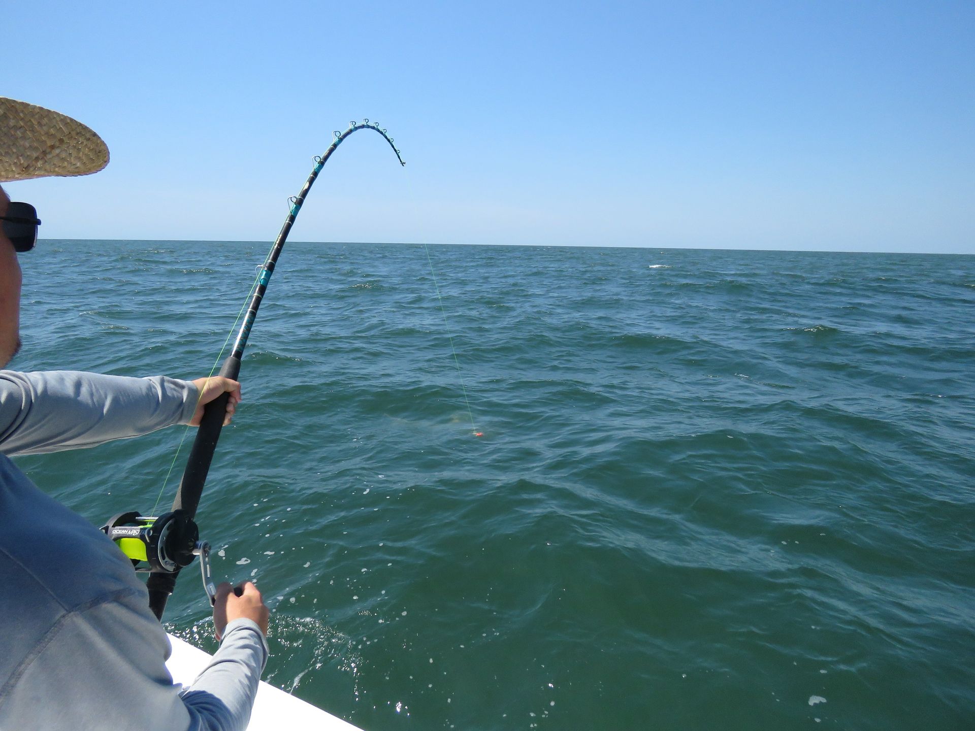 ga shark fishing