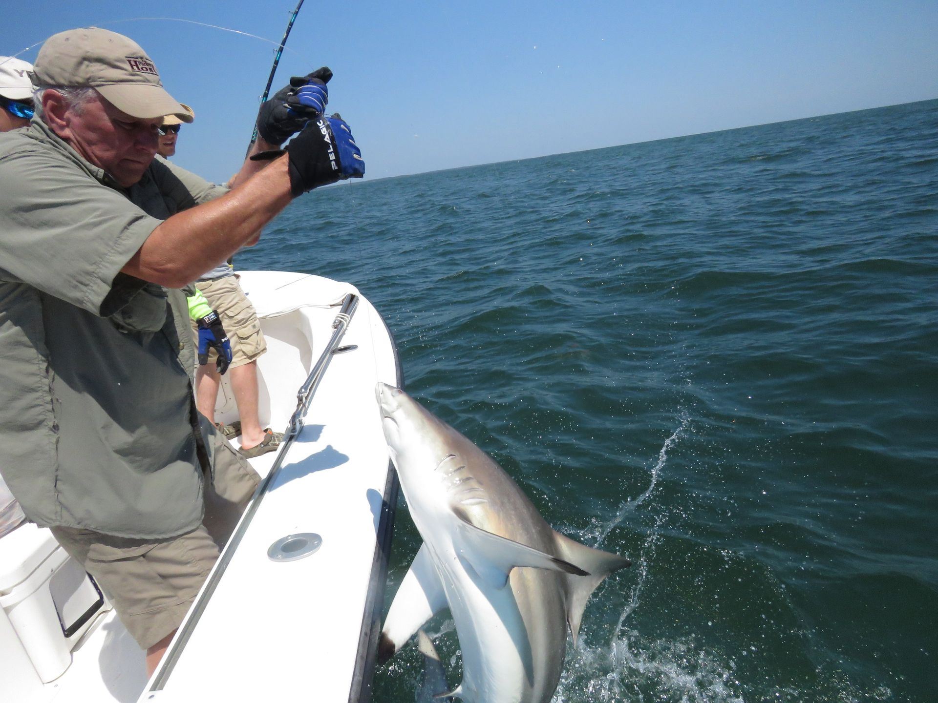 best ga charter fishing