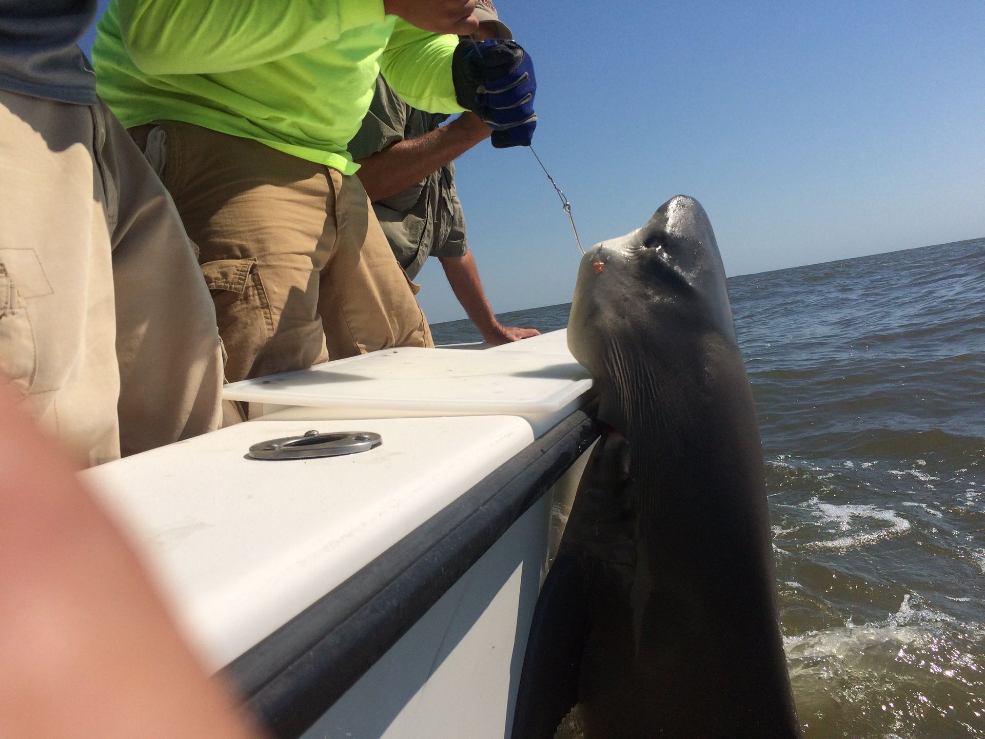 best charter fishing guides in georgia